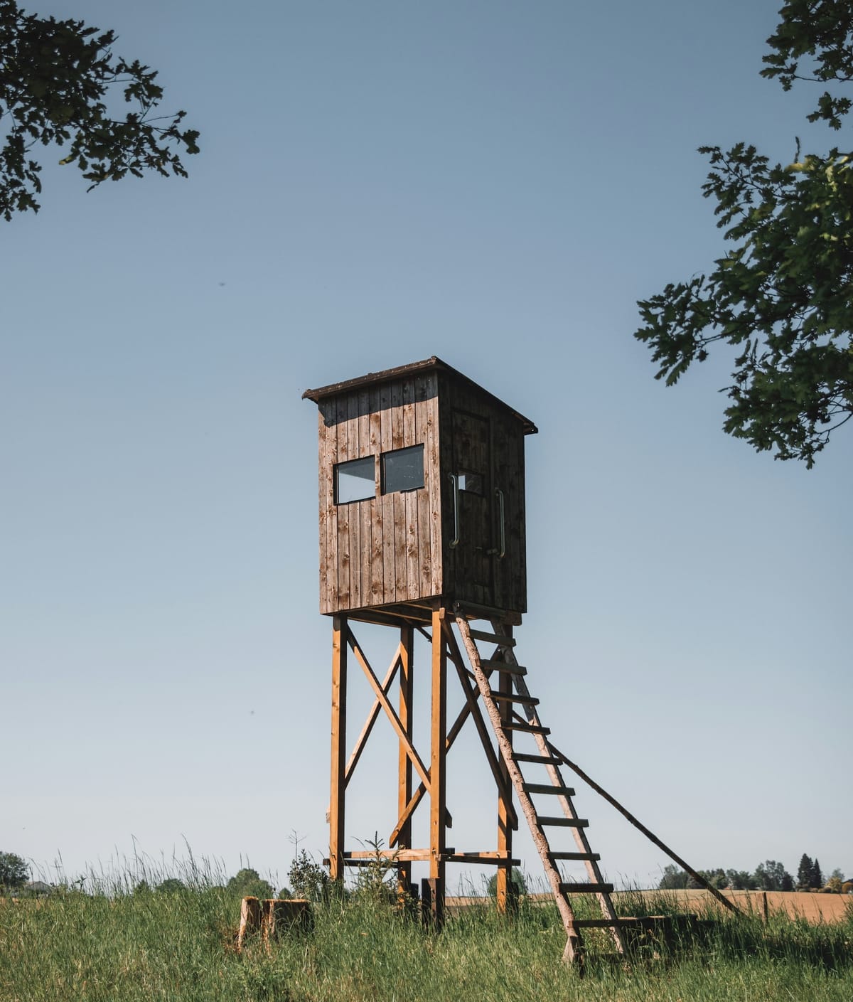 Anxiety made me do it!