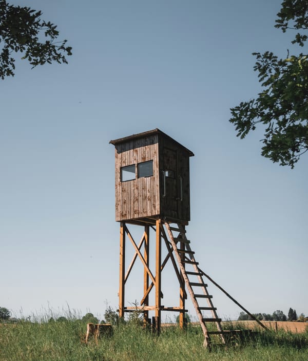 Anxiety made me do it!